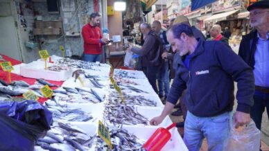 tezgahlarda hamsi bollugu 3xxIf6lU