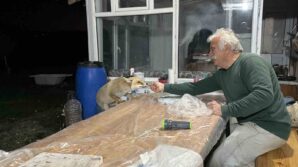 tilki ailesi her aksam yemek icin bag evine geliyor gkEgmACu