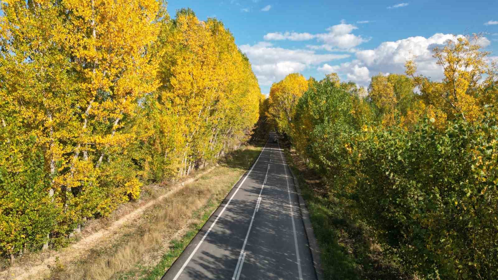 tokatta belediyenin yapraklari temizlemedigi parklarda renk cumbusu olustu