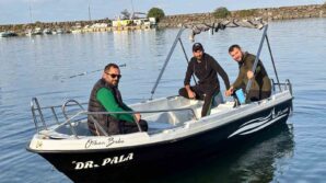 trabzon kiyilarinda kopek baligi hareketliligi artti SPNbkuGM