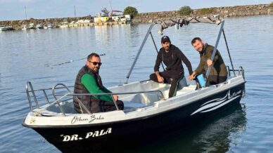 trabzon kiyilarinda kopek baligi hareketliligi artti SPNbkuGM