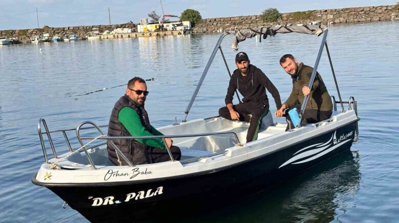trabzon kiyilarinda kopek baligi hareketliligi artti SPNbkuGM