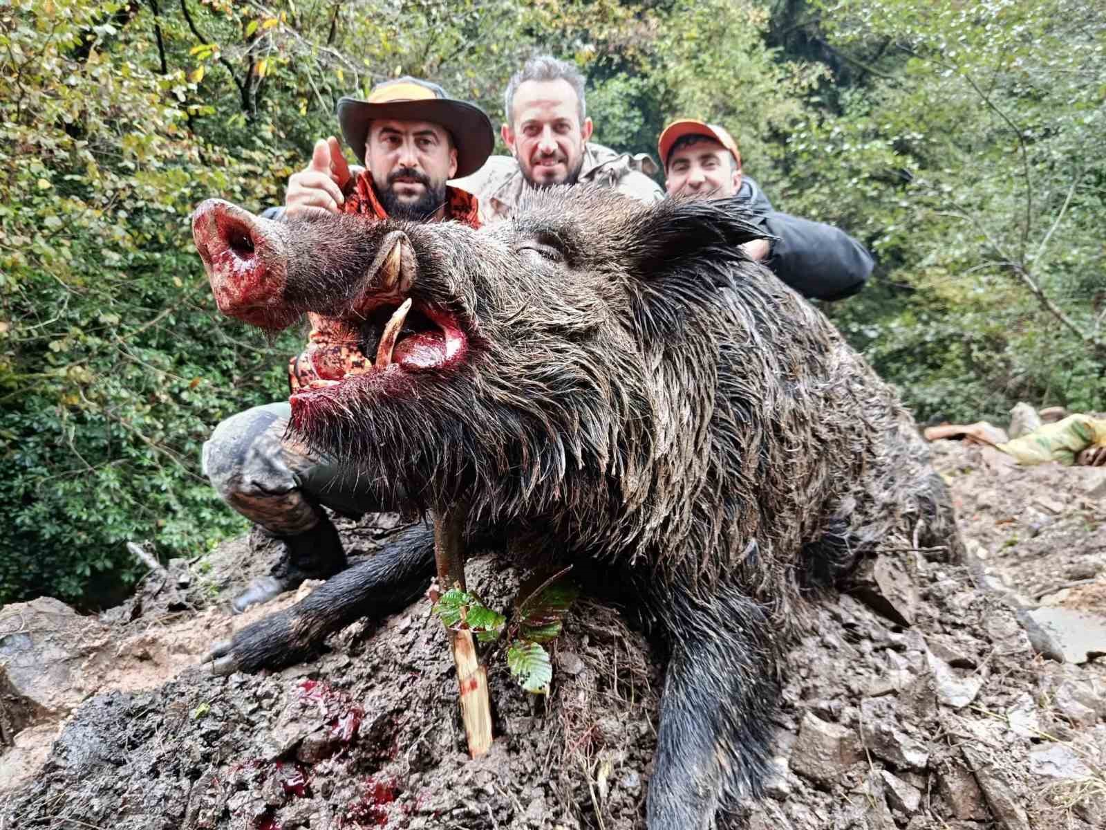 trabzonda surek avinda 300 kglik domuz fiseklerin hedefi oldu PKE7OhU7