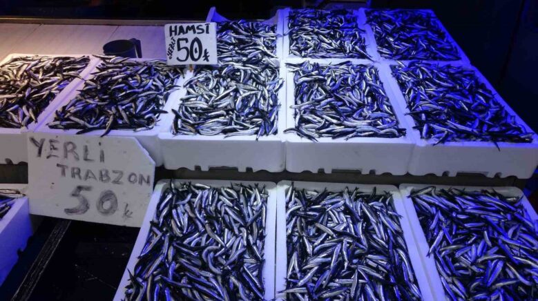 trabzonlular hamsiye doydu RGNZKZWK