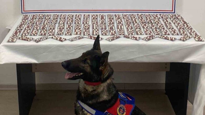 uyusturucuyla yakalanan sahis utuklandi yCQGjBrm