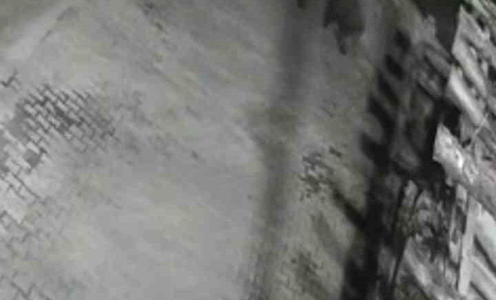 yerlesim alanina inen ayilar koy sakininden korkup kacti dYtHpJTU