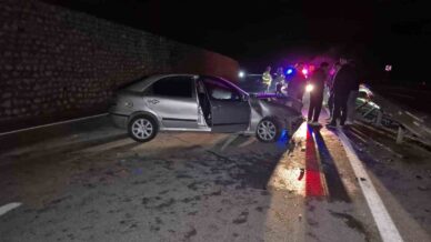 yola cikan yaban hayvani kazaya neden oldu 4 yarali bPQU8XFW