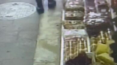 zonguldakta kuruyemisciden ceviz hirsizligi guvenlik kamerasinda RFSzj71a