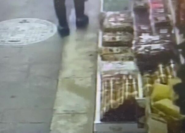 zonguldakta kuruyemisciden ceviz hirsizligi guvenlik kamerasinda RFSzj71a