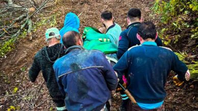 agac keserken yaralanan isci icin seferber oldular Ys1Hh1Td