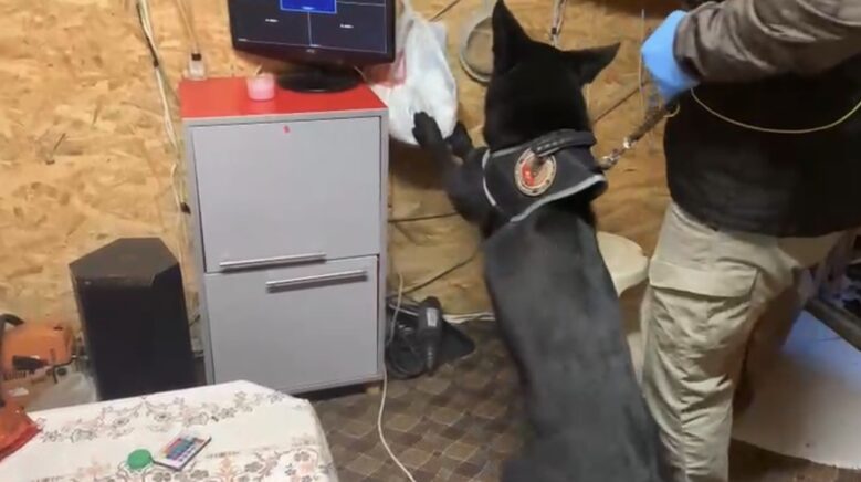 bag evindeki uyusturucu duzenegini tony ortaya cikardi p5zaOSpM