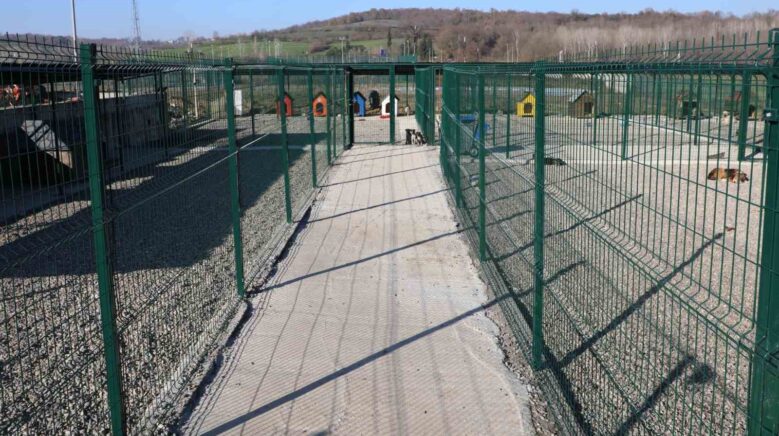 barude kampusteki hayvanlar icin yasam merkezi olusturuldu ggNHBLVJ