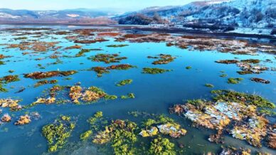 beyaz gelinligini giyen ladik golunun guzelligi goz kamastirdi U1lq7N2Y