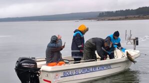 boluda golun ortasinda 500 metrelik kacak ag ele gecirildi KJXLuYK9