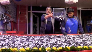 boluda hamsinin kilosu 150 liraya dustu AHLlBsEI