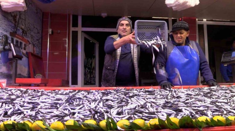 boluda hamsinin kilosu 150 liraya dustu AHLlBsEI