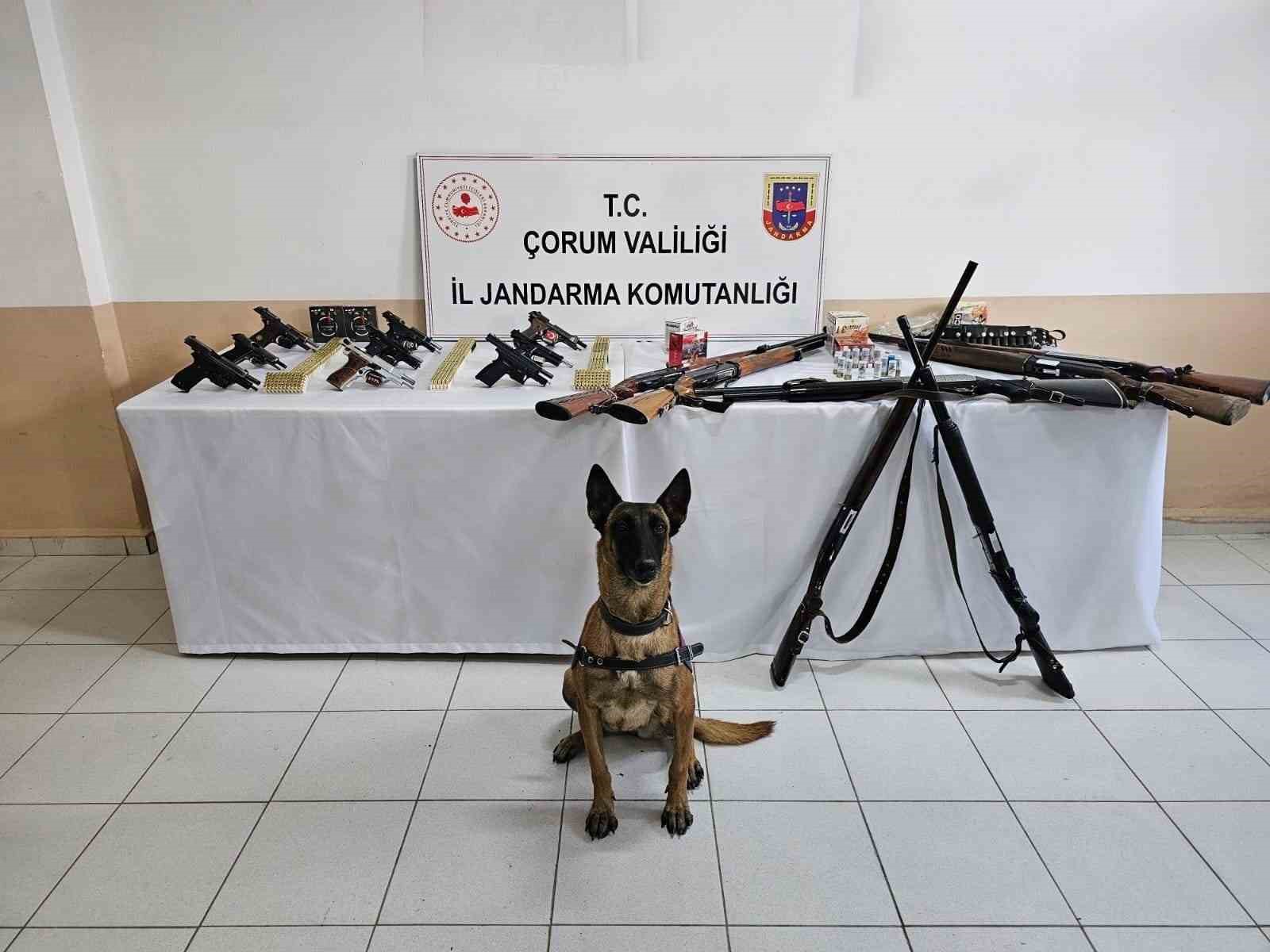 corum jandarmasindan dugun magandalarina operasyon 11 gozalti biyh4tqP