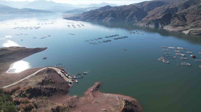 denizi olmayan tokatin somonlari dunya sofralarina ulasiyor fa5Vn2aM