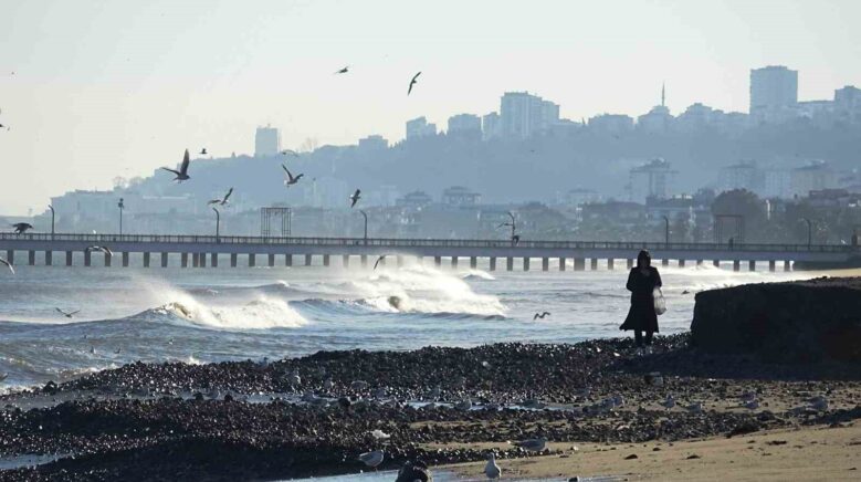 dev dalgalarin ardindan samsun sahilinde tasli manzara R3jCDSNf