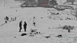 dunyaca unlu turizm merkezi ayder yaylasi beyaza burundu FURL739P