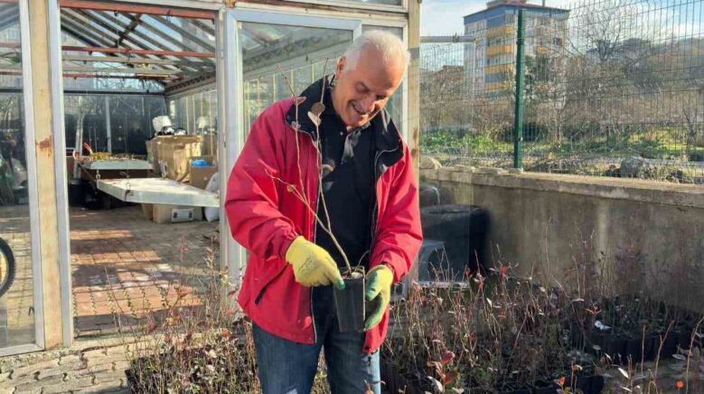 giresundan mavi yemis atagi TpfmVKuX