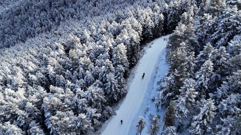 gumushanede kis masali giKtHMzs