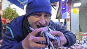 hamsi revacta XNewjP6u