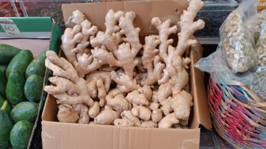 hava sicakliklari 10 derece birden dustu aktarlarda zencefil yok satiyor nHvE7HLS