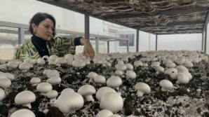 hem egitim gorup hem uretiyorlar TDcxyfj1