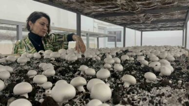 hem egitim gorup hem uretiyorlar TDcxyfj1