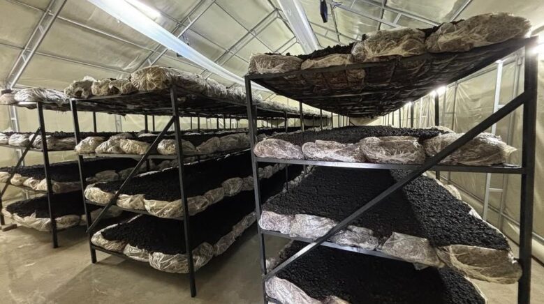 ilcenin ekonomisine yeni soluk wC3zVq2I