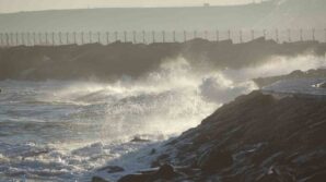 istavrit hamsiyi tahtindan etti tpyOUhgd