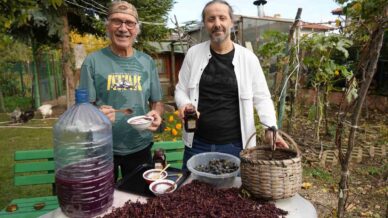 kanser hucrelerinin olusumunu onleyen kokulu uzumun uretimi arttirilacak uUPc8dGt