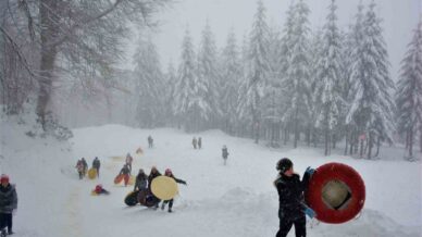 kar keyfiniz kabusa donmesin IQTeX9qt