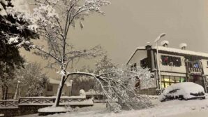 karabukte kar agirligina dayanamayan cok sayida agacin dallarin kirildi ep4I8xM5