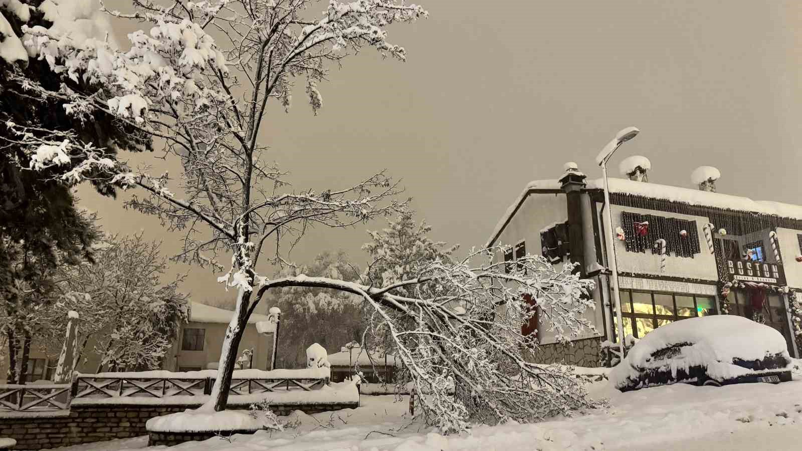 karabukte kar agirligina dayanamayan cok sayida agacin dallarin kirildi