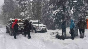 karabukte yaylada mahsur kalan 7 kisi kurtarildi vNqaDw7d