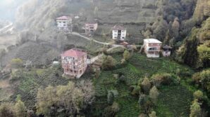 karadenizde tuglali yapilar hem goze hem de cebe zarar DaaiZmB1