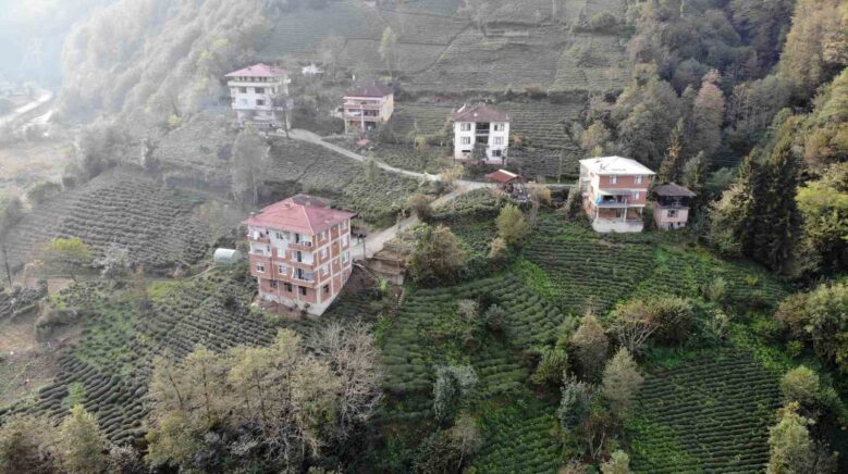 karadenizde tuglali yapilar hem goze hem de cebe zarar DaaiZmB1