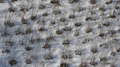 karadenizdeki kar yagisi findik ve diger tarim urunlerine yaradi nTVibvqr