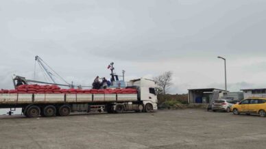 karadenizden cikartilan beyaz kum midyesine siki denetim 4yXgaT72