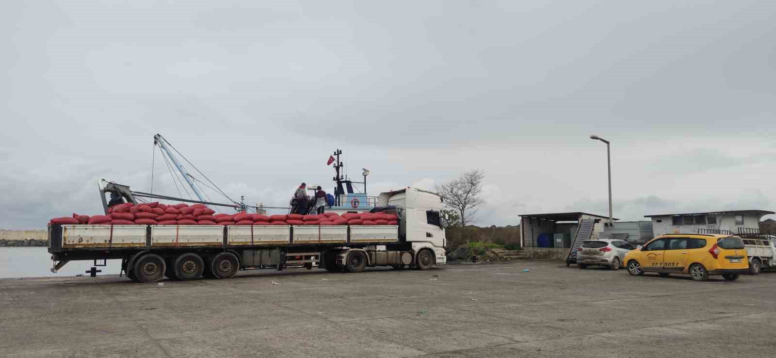 karadenizden cikartilan beyaz kum midyesine siki denetim 4yXgaT72