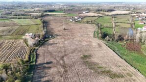 karadenizin en buyuk incir projesi 50 milyon tl gelir kiz cocuklarina verilecek fQ7Abxcm