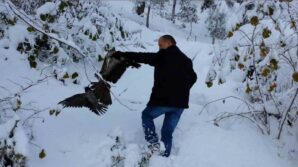 kargayi atmacanin pencelerinden yoldan gecen vatandaslar kurtardi ODmJ6E17