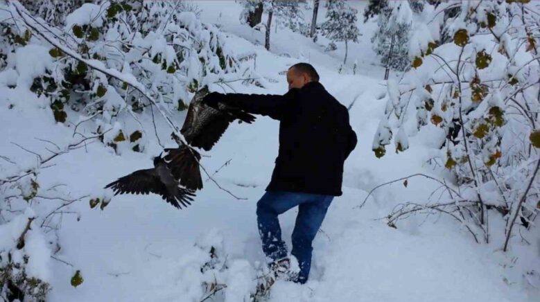 kargayi atmacanin pencelerinden yoldan gecen vatandaslar kurtardi ODmJ6E17