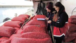 kastamonuda beyaz kum midyesi denetimi aVSFZEja