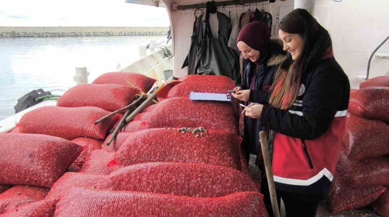 kastamonuda beyaz kum midyesi denetimi aVSFZEja