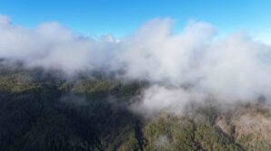 kastamonuda sis bulutlari ve ormanlarin bulusmasi mest etti C3OTyu2Q