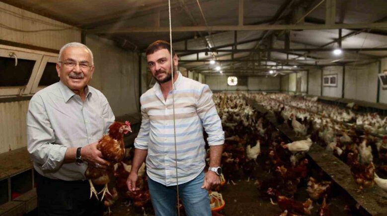 orduda yumurta uretimi verilen destekler ile zarardan kara donustu ilin ekonomisine yillik 500 milyon cvIkinVG