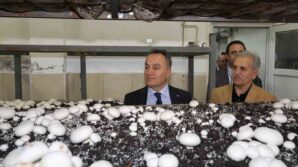 togude uretime dayali egitim modelleri gucleniyor FbVYxxuK